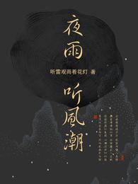 夜雨听风潮 封面
