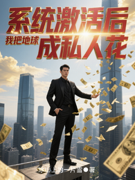 系统激活后,我把地球改成私人花 封面