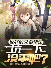 说好的兄弟情深，坑一下没事吧？ 封面
