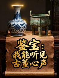 鉴宝：我能听见古董心声 封面