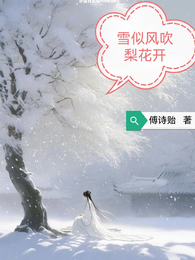 雪似风吹梨花开 封面