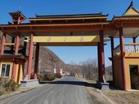 长篇小说：在那榆树花盛开的地方 封面