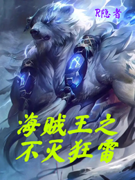海贼王之不灭狂雷 封面
