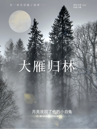 大雁归林 封面