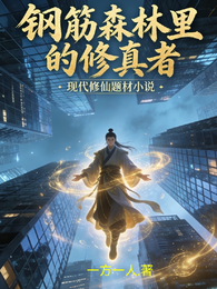 钢筋森林里的修真者 封面