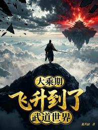 大乘期：飞升到了武道世界 封面