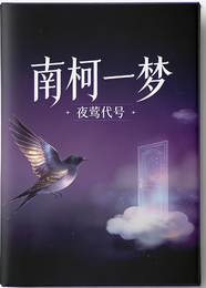 南柯一梦又名夜莺代号 封面