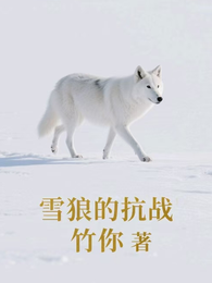 雪狼的抗战 封面