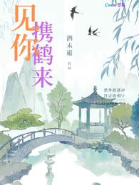 见你携鹤来 封面