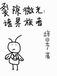 裂隙微光：诸界旅者 封面