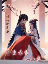 半生赤雪又如意 封面