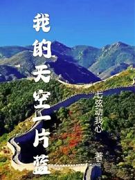 我的天空一片蓝 封面