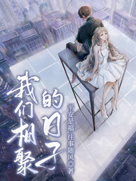 我们相聚的日子 封面