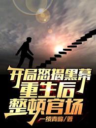开局怒揭黑幕,重生后整顿官场 封面