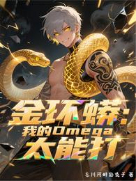 金环蟒:我的Omege太能打 封面