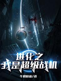 进化之我是超级战机 封面