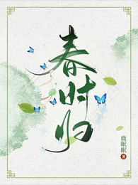 春时归 封面