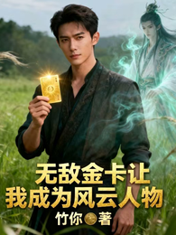 无敌金卡让我成为风云人物 封面
