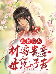 红楼同人，林家贵妾母凭子贵 封面