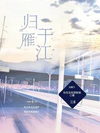 归雁于江 封面