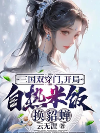 三国双穿门,开局自热米饭换貂蝉 封面