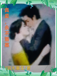 真爱,永不落幕 封面