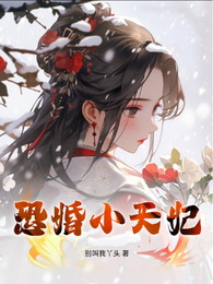 恐婚小天妃 封面