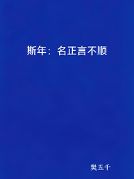 斯年:名正言不顺 封面