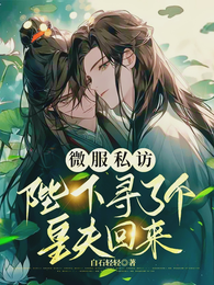 微服私访:陛下寻了个皇夫回来! 封面