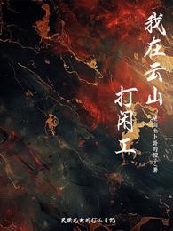 我在云山打闲工 封面
