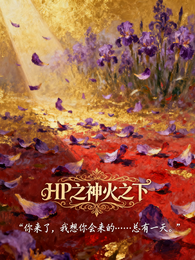 HP之神火之下 封面