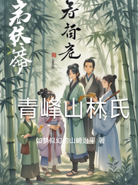 青峰山林氏 封面