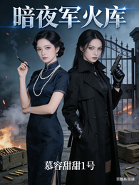 暗夜军火库 封面