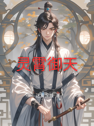灵霄御天 封面