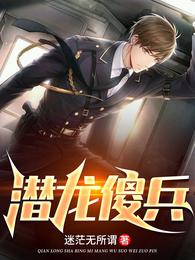 潜龙傻兵 封面