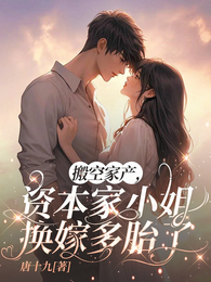 搬空家产,资本家小姐换嫁多胎了 封面