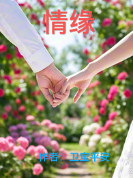 卫宝平安的新书：情缘 封面