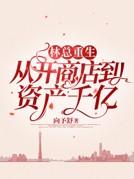 林总重生:从开商店到资产千亿 封面