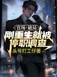 官场，破局，刚重生就被停职调查 封面