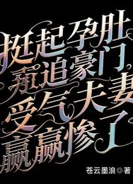 挺起孕肚追豪门，受气夫妻赢惨了 封面