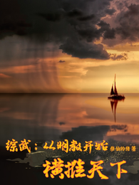 综武:从明教开始横推天下 封面
