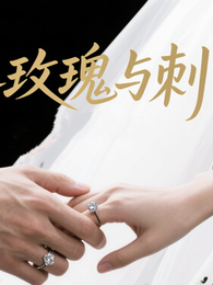 玫瑰与刺！ 封面