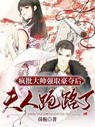 疯批大帅强取豪夺后,夫人跑路了 封面