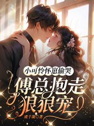 小可怜怀崽偷哭:傅总抱走狠狠宠 封面