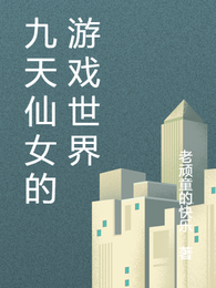 九天仙女的游戏世界 封面