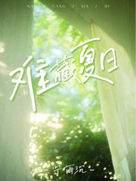 难藏夏日 封面