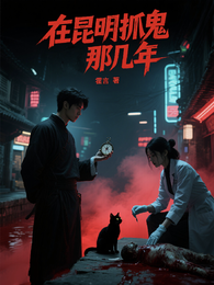 在昆明抓鬼那几年 封面