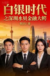 白银时代之深圳水贝金融大鳄 封面