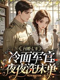 闪婚七零,冷面军官夜夜洗床单 封面
