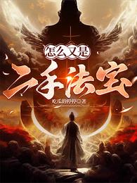 怎么又是二手法宝 封面